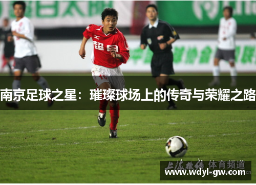 南京足球之星：璀璨球场上的传奇与荣耀之路