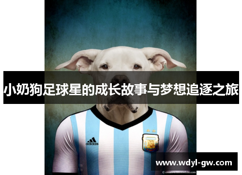 小奶狗足球星的成长故事与梦想追逐之旅