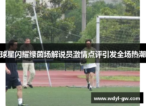 球星闪耀绿茵场解说员激情点评引发全场热潮