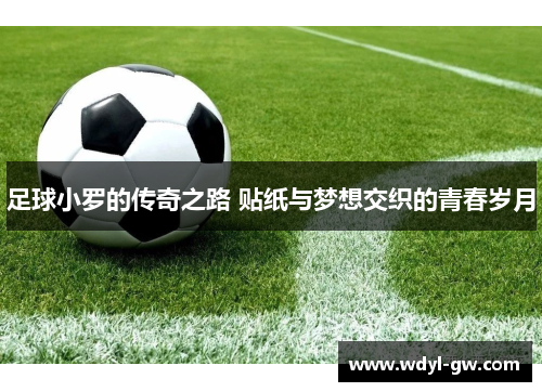 足球小罗的传奇之路 贴纸与梦想交织的青春岁月