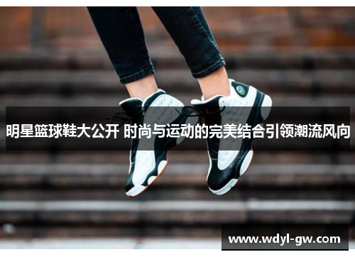 明星篮球鞋大公开 时尚与运动的完美结合引领潮流风向
