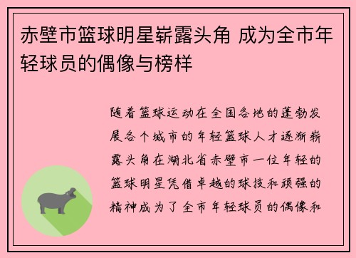 赤壁市篮球明星崭露头角 成为全市年轻球员的偶像与榜样